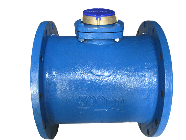 DN300插入式水表